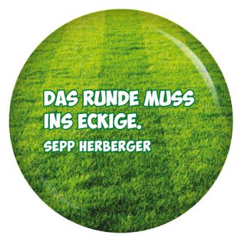 kiwikatze Button Das Runde muss ins Eckige.