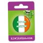 Preview: Ansteckbutton  Irland vor! Noch ein Tor! an Eurolochkarte