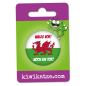 Preview: Ansteckbutton Wales vor! Noch ein Tor! an Eurolochkarte