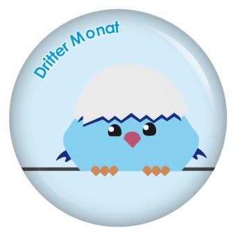 Ansteckbutton 3. Monat (Schräge Vögel)