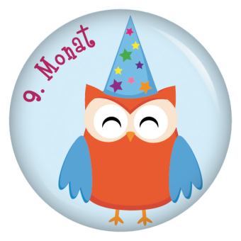 Ansteckbutton 9. Monat Eulen