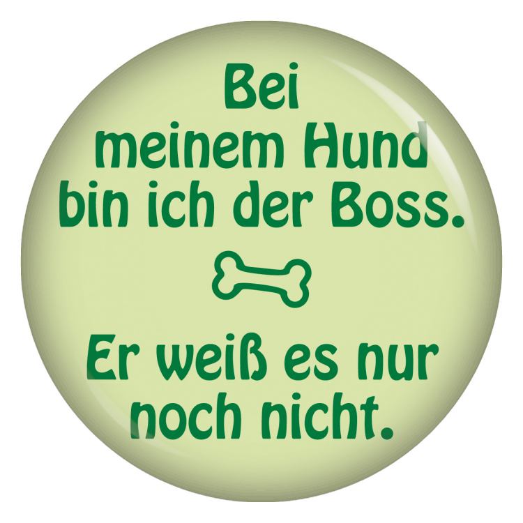 Bei meinem Hund bin ich der Boss Button Anstecker