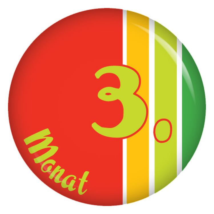Ansteckbutton 3. Monat kunterbunt