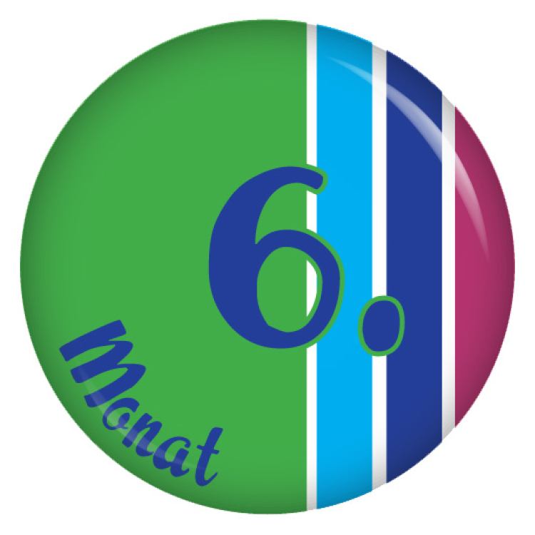 Ansteckbutton 6. Monat (Kunterbunt)