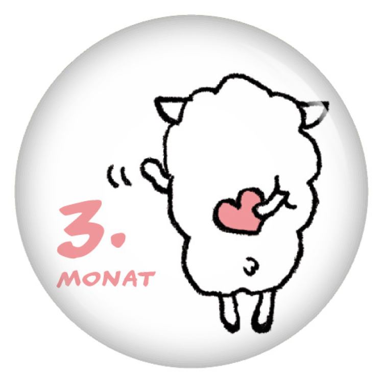 Ansteckbutton 3. Monat (Schäfchen)