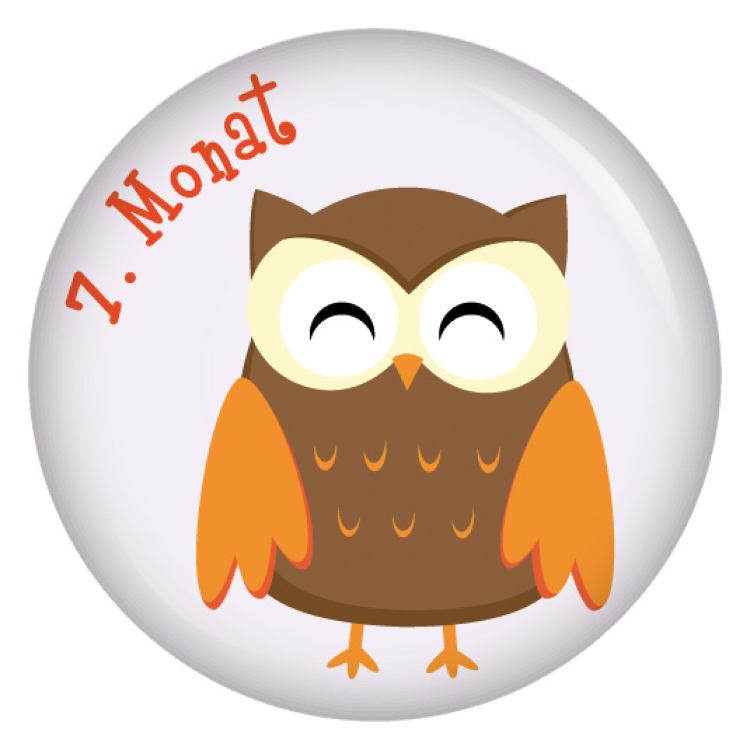 Ansteckbutton 7. Monat Eulen
