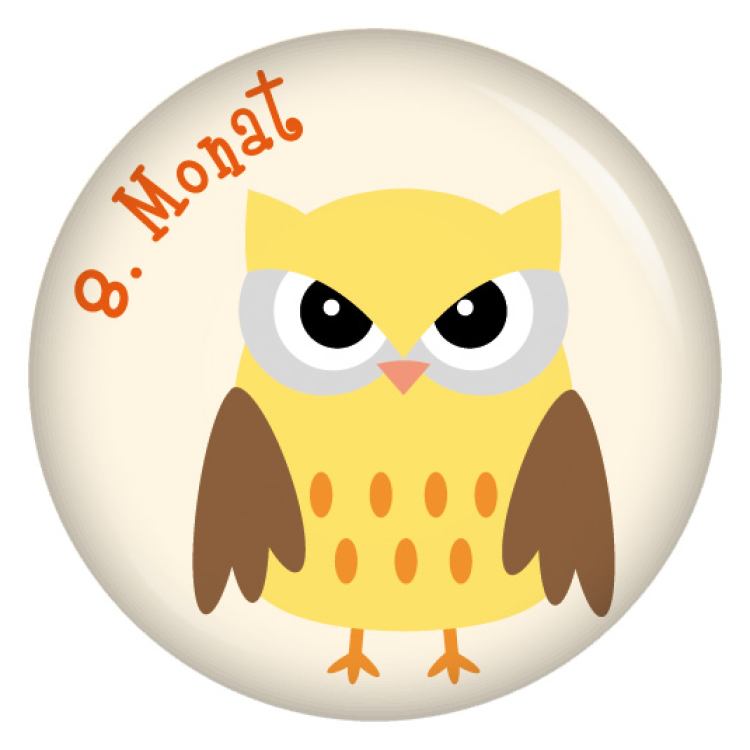 Ansteckbutton 8. Monat Eulen