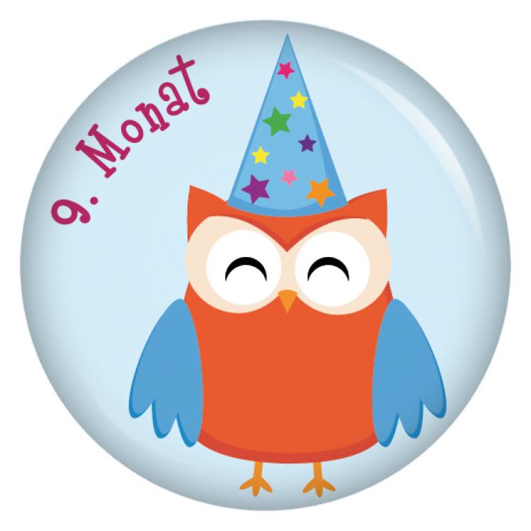 Ansteckbutton 9. Monat Eulen