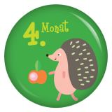 Ansteckbutton 4. Monat Igel (Tierchen 2)