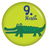 Ansteckbutton 9. Monat Krokodil