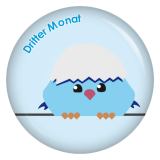 Ansteckbutton 3. Monat (Schräge Vögel)