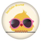 Ansteckbutton 6. Monat (Schräge Vögel)
