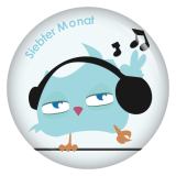 Ansteckbutton 7. Monat schräge Vögel