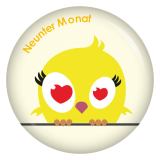 Ansteckbutton 9. Monat schräge Vögel