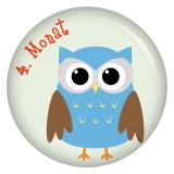 Ansteckbutton 4. Monat Eulen
